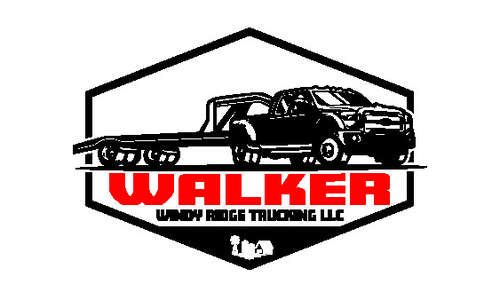 David E Walker